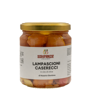 Lampascioni